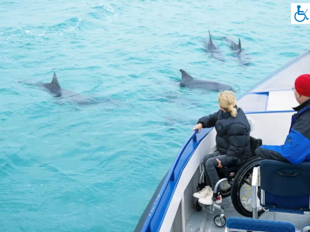 Accessible Dolphin Cruise Travel Without Limits